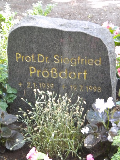 Grab von Siegfried Proessdorf